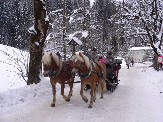 Kurzreisen Deutschland Garmisch Partenkirchen Bayern Winterlandschft Kutschenfahrt